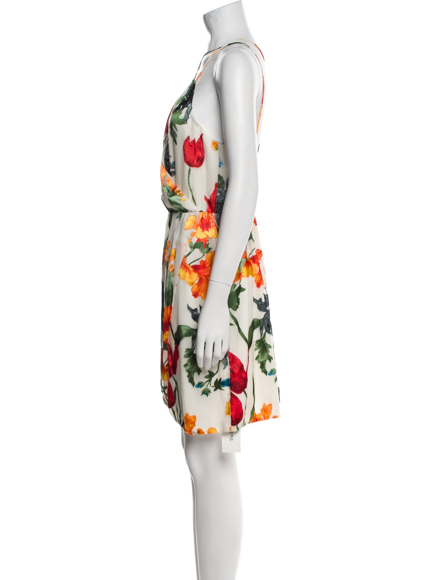 Alice + Olivia Floral Print Mini Dress