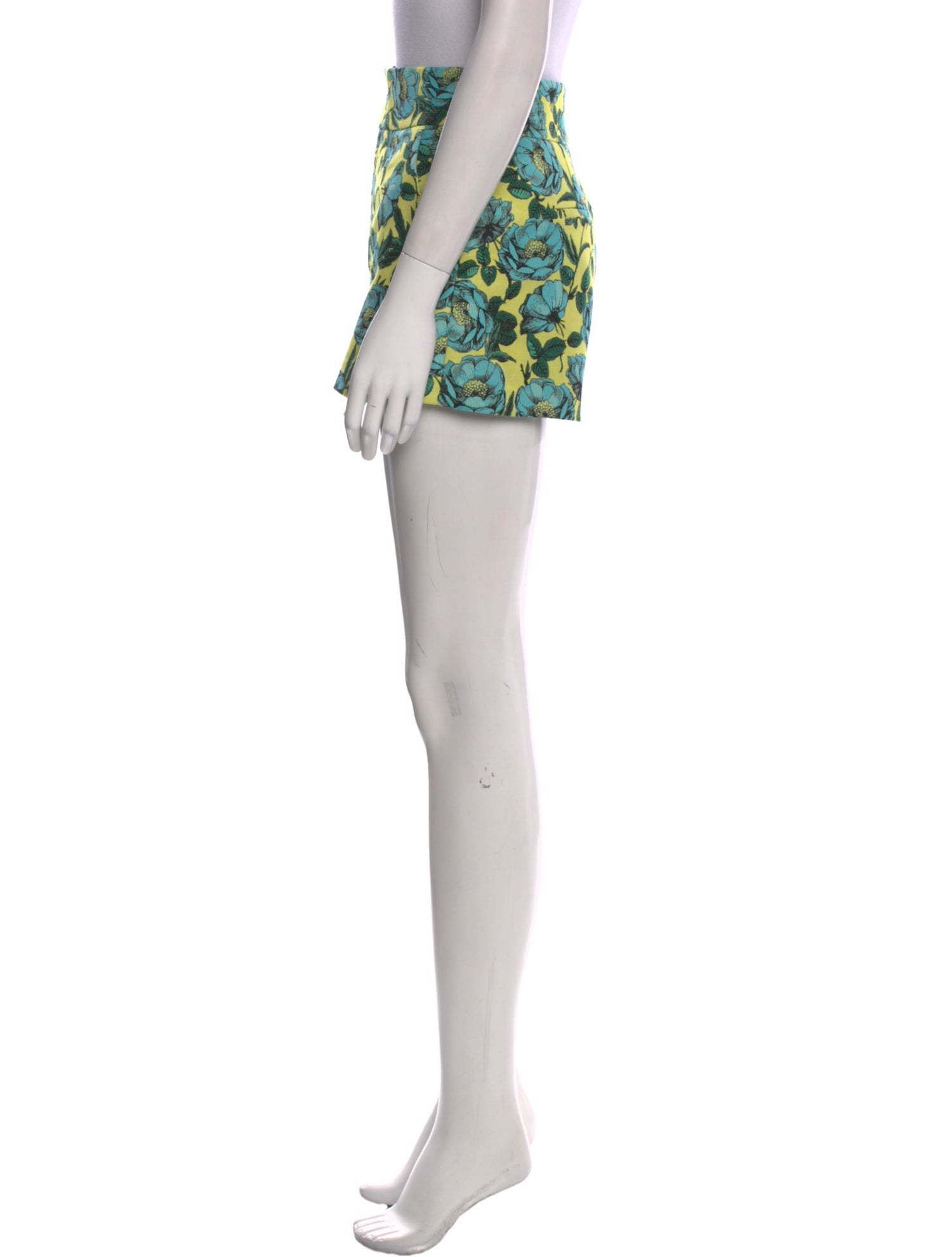 Alice + Olivia Floral Print Mini Shorts