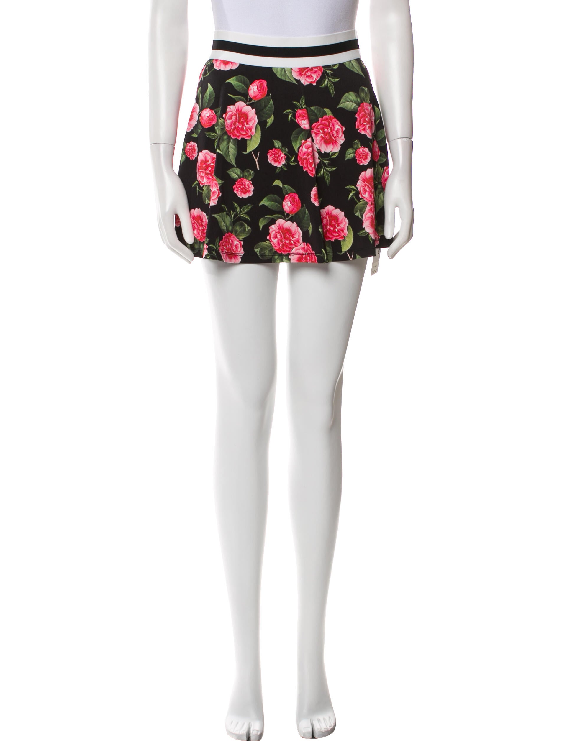 Alice + Olivia Printed Skirt Set