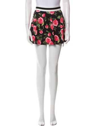 Alice + Olivia Printed Skirt Set