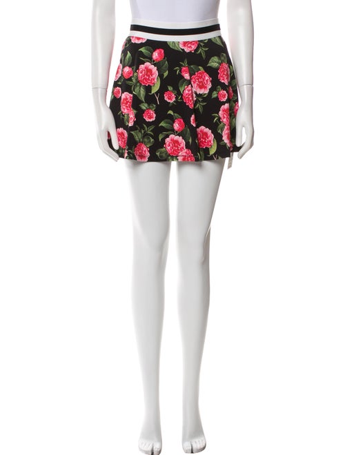 Alice + Olivia Printed Skirt Set