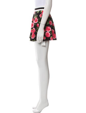 Alice + Olivia Printed Skirt Set