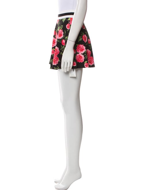 Alice + Olivia Printed Skirt Set