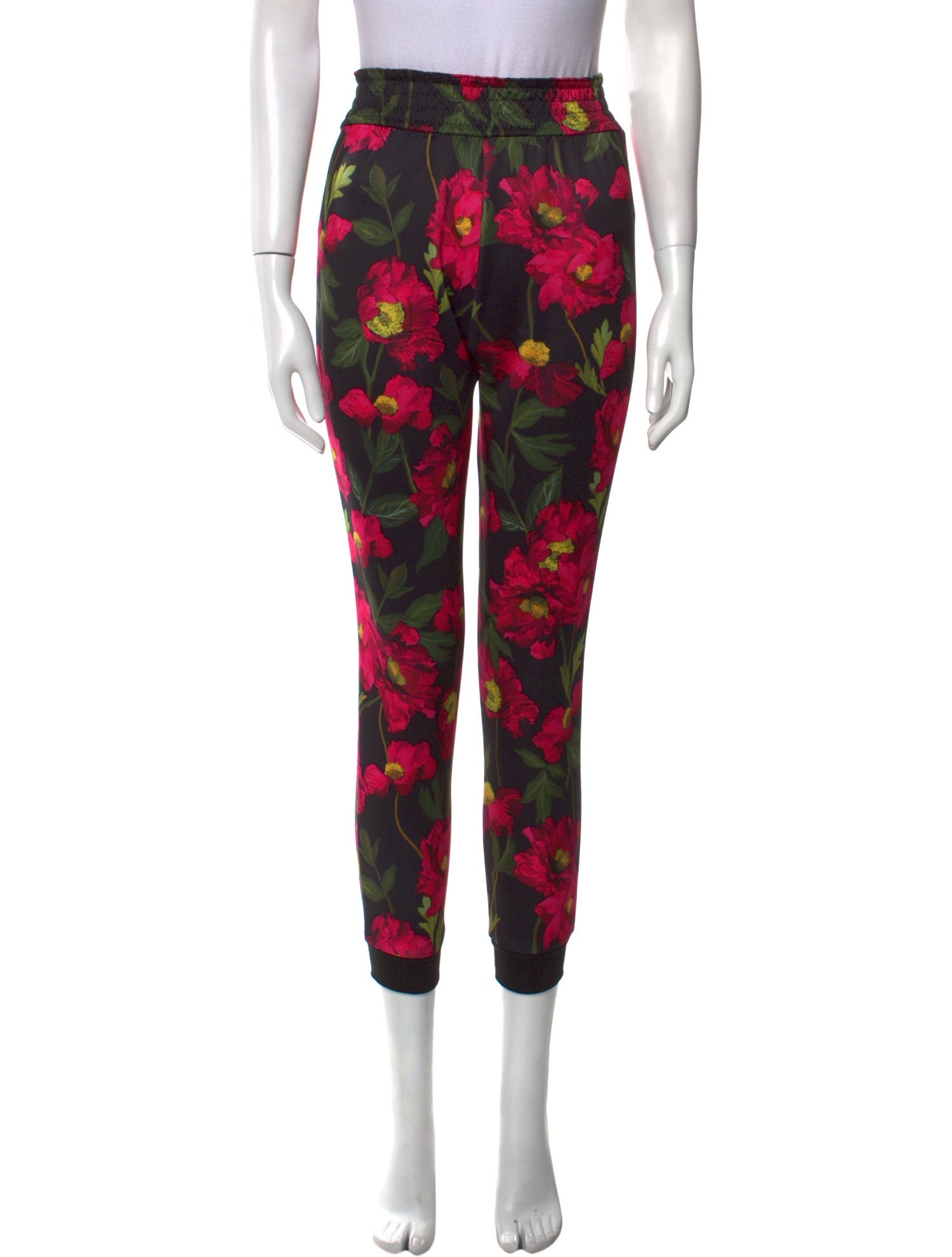 Alice + Olivia Floral Print Skinny Leg Pants
