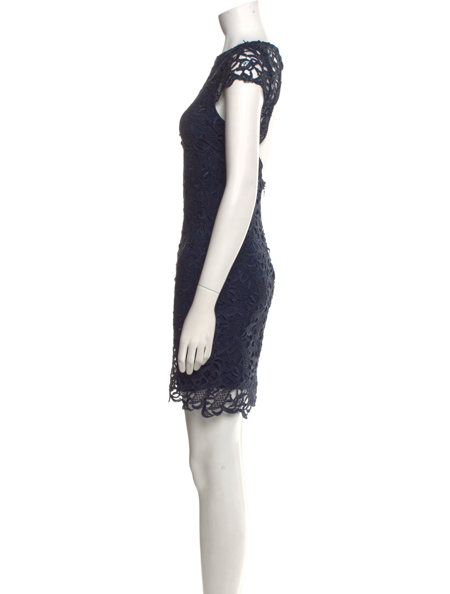 Alice + Olivia Lace Pattern Mini Dress