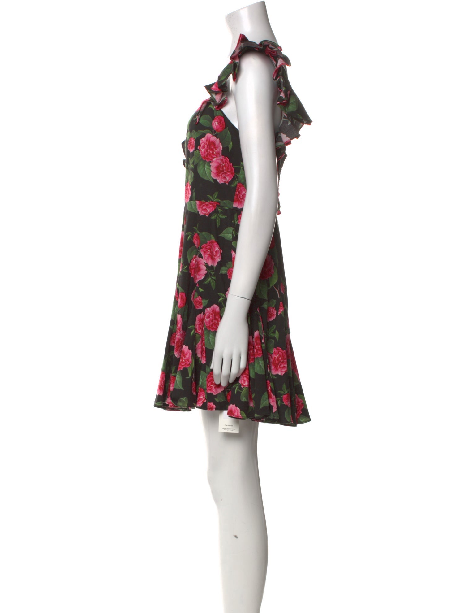 Alice + Olivia Floral Print Mini Dress