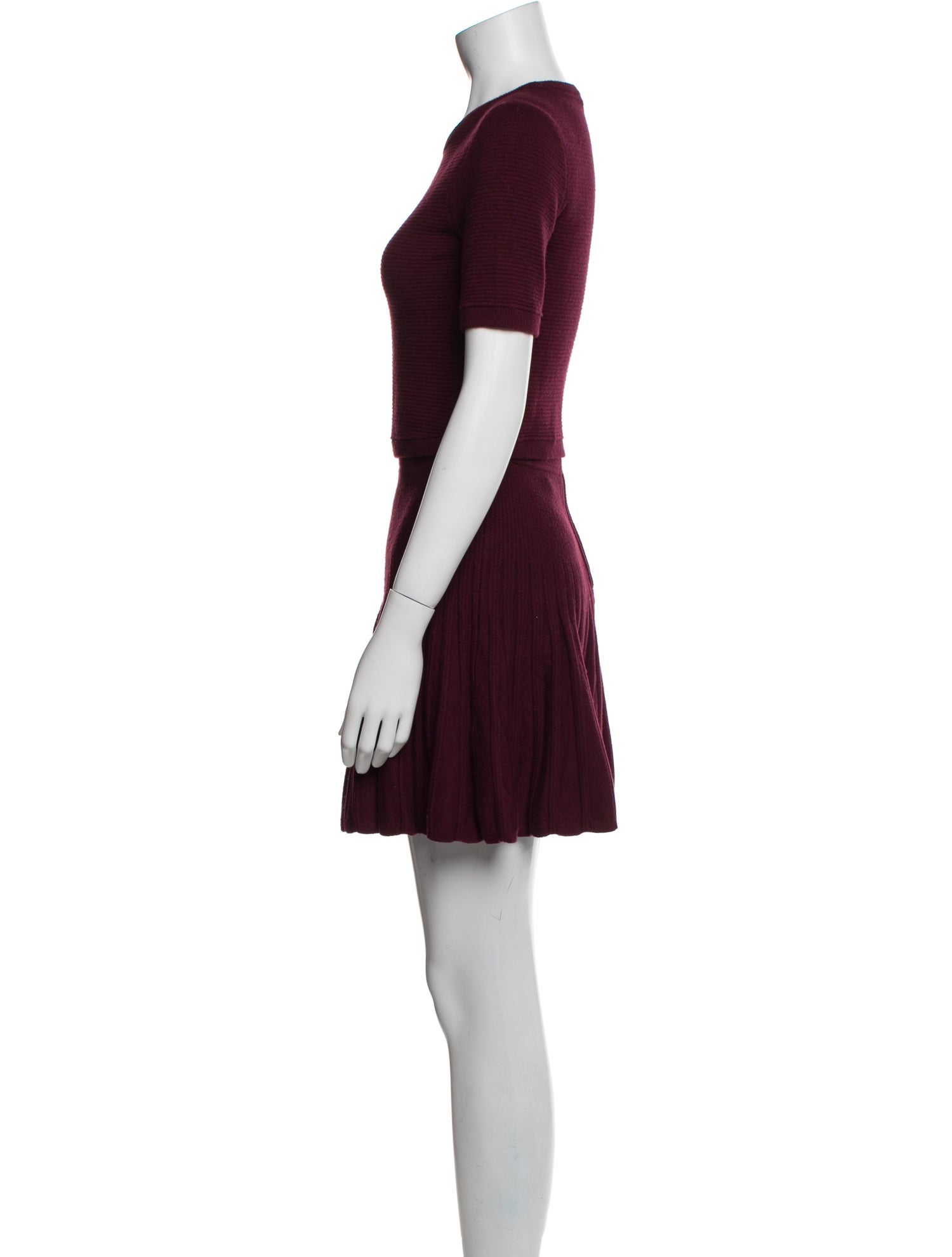 Alice + Olivia Nylon Skirt Set