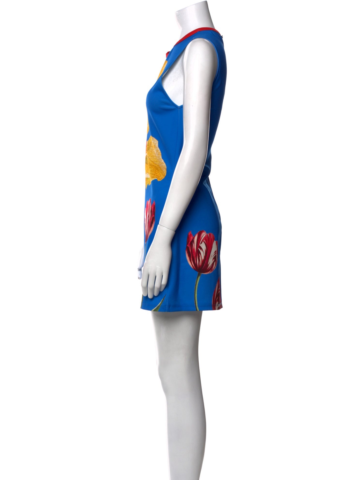 Alice + Olivia Printed Mini Dress