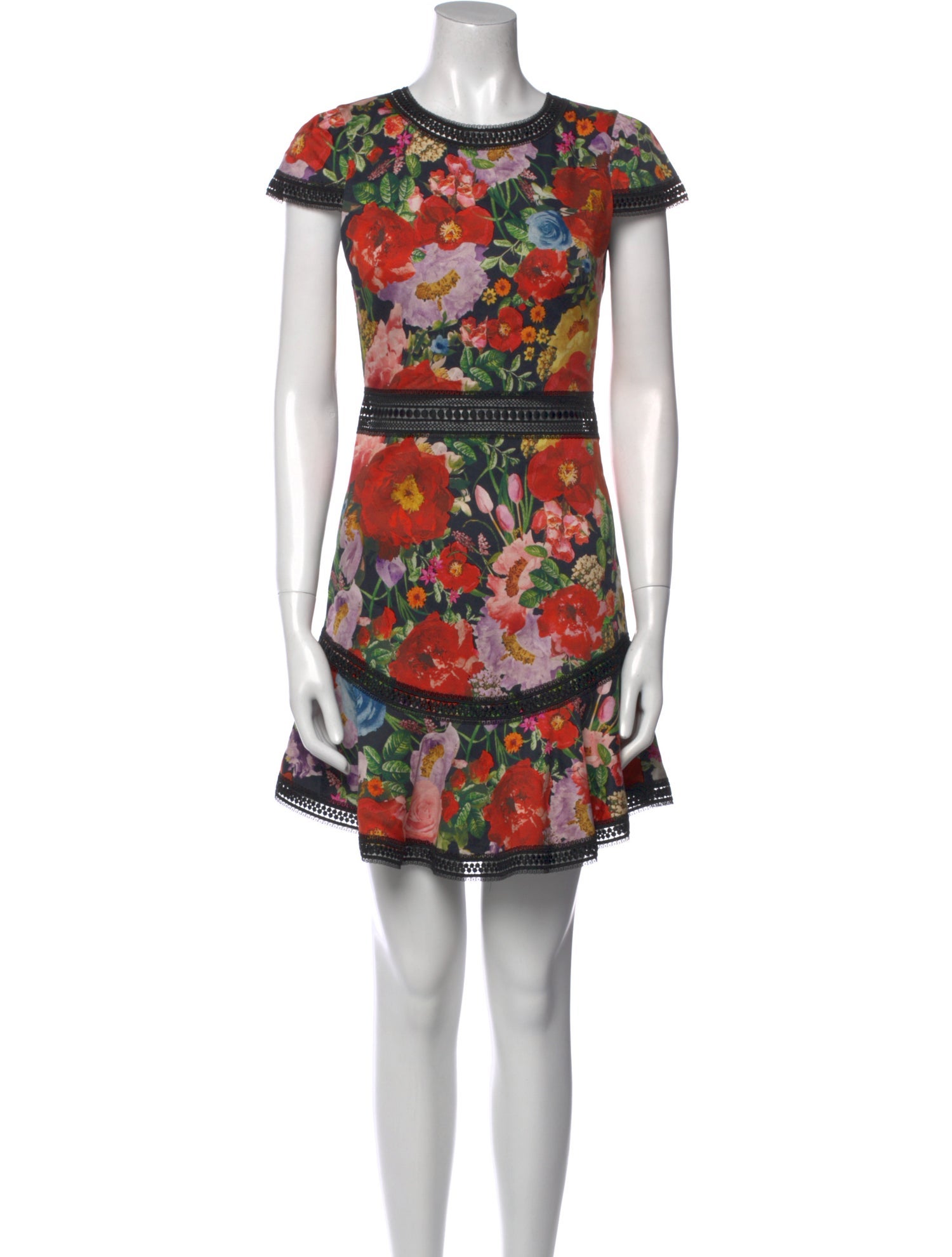 Alice + Olivia Floral Print Mini Dress