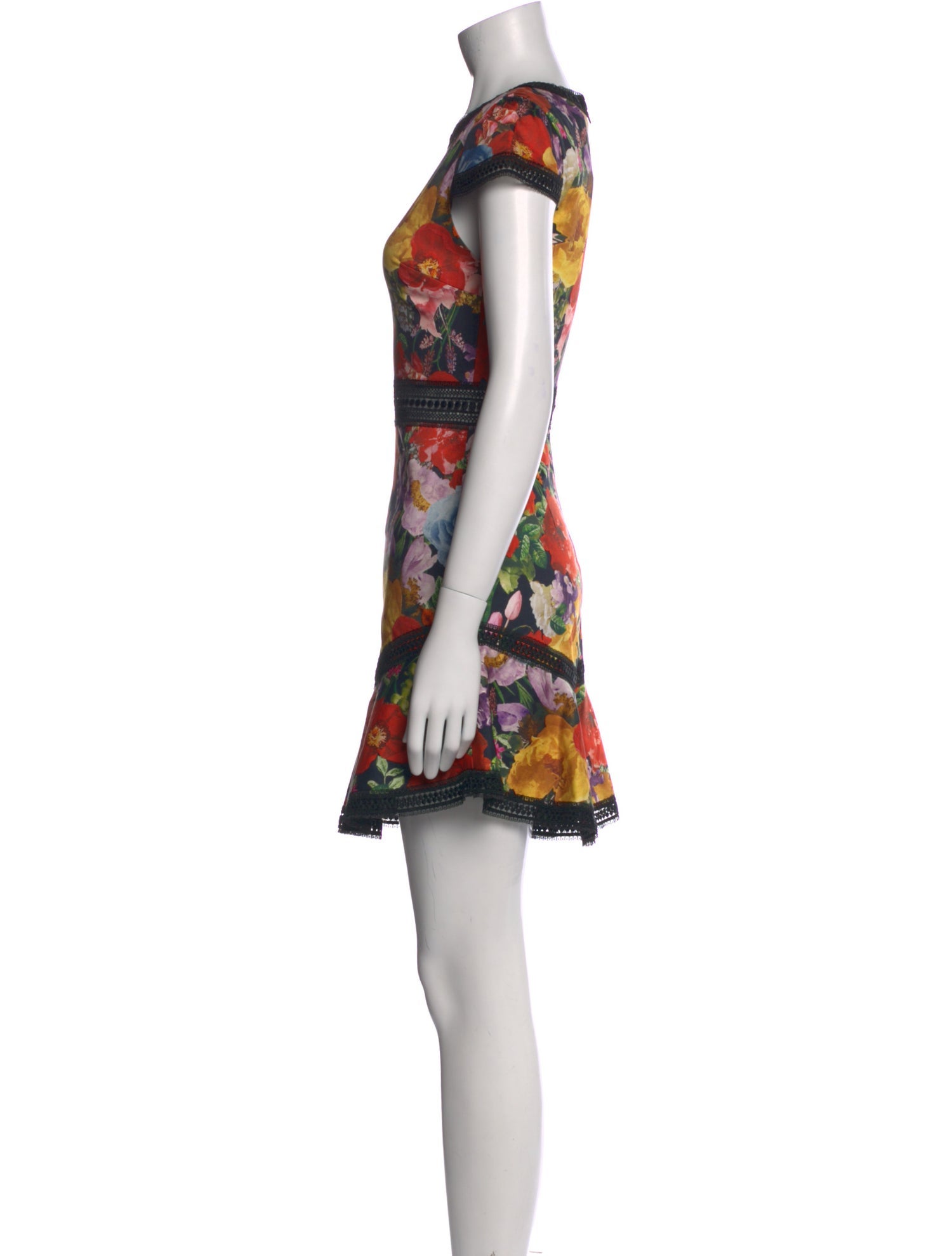 Alice + Olivia Floral Print Mini Dress