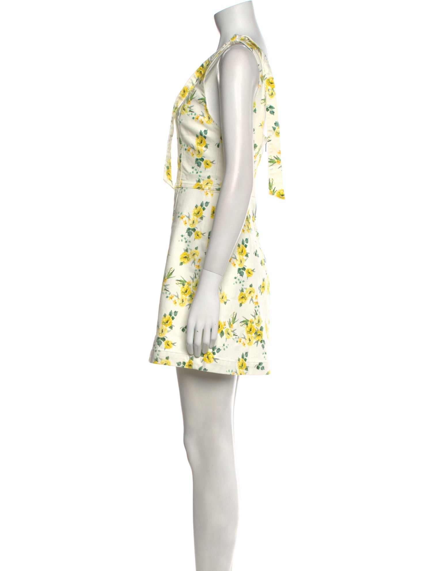 Alice + Olivia Floral Print Mini Dress