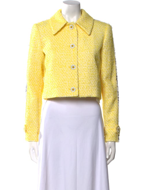 Alice + Olivia Sweater