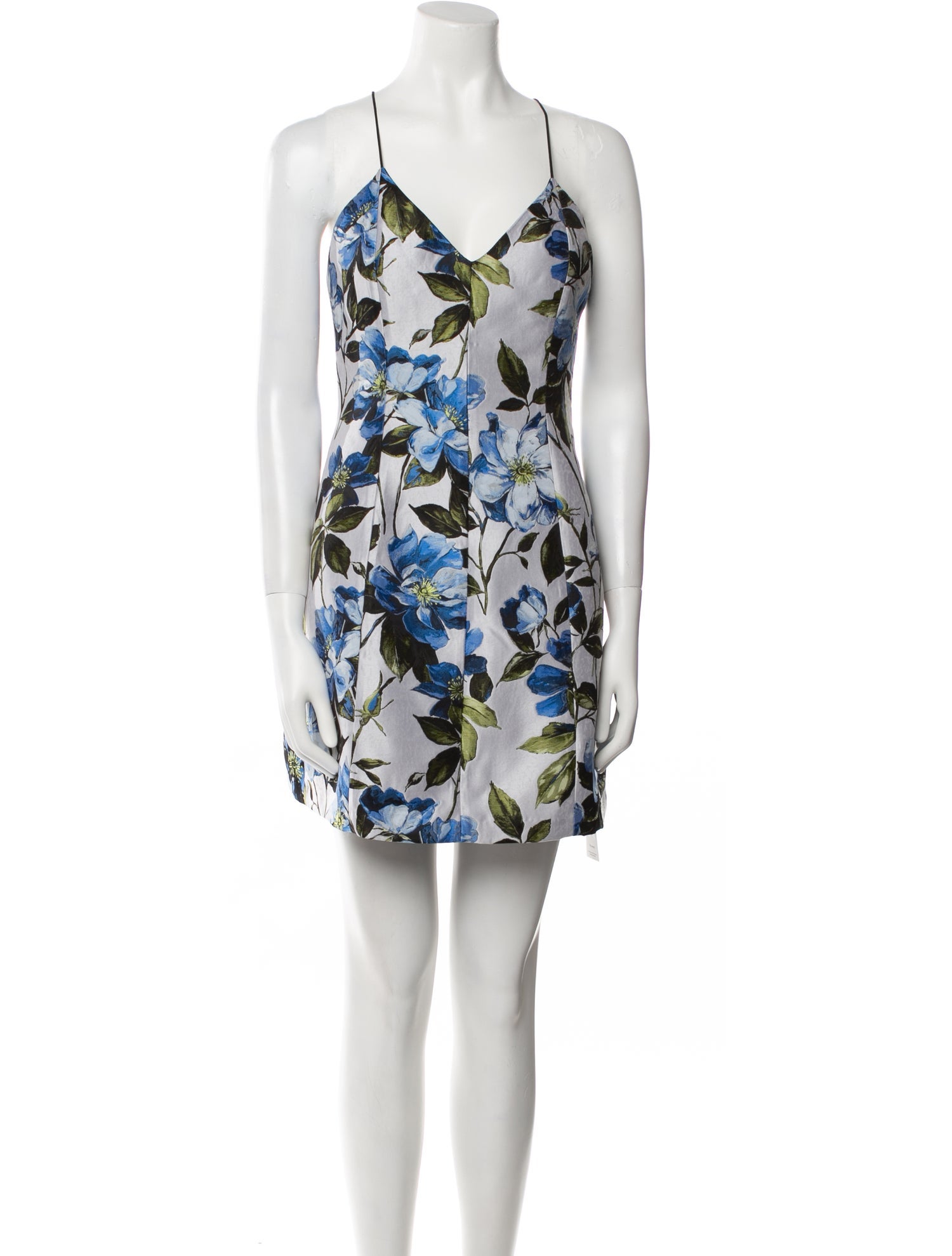 Alice + Olivia Floral Print Mini Dress