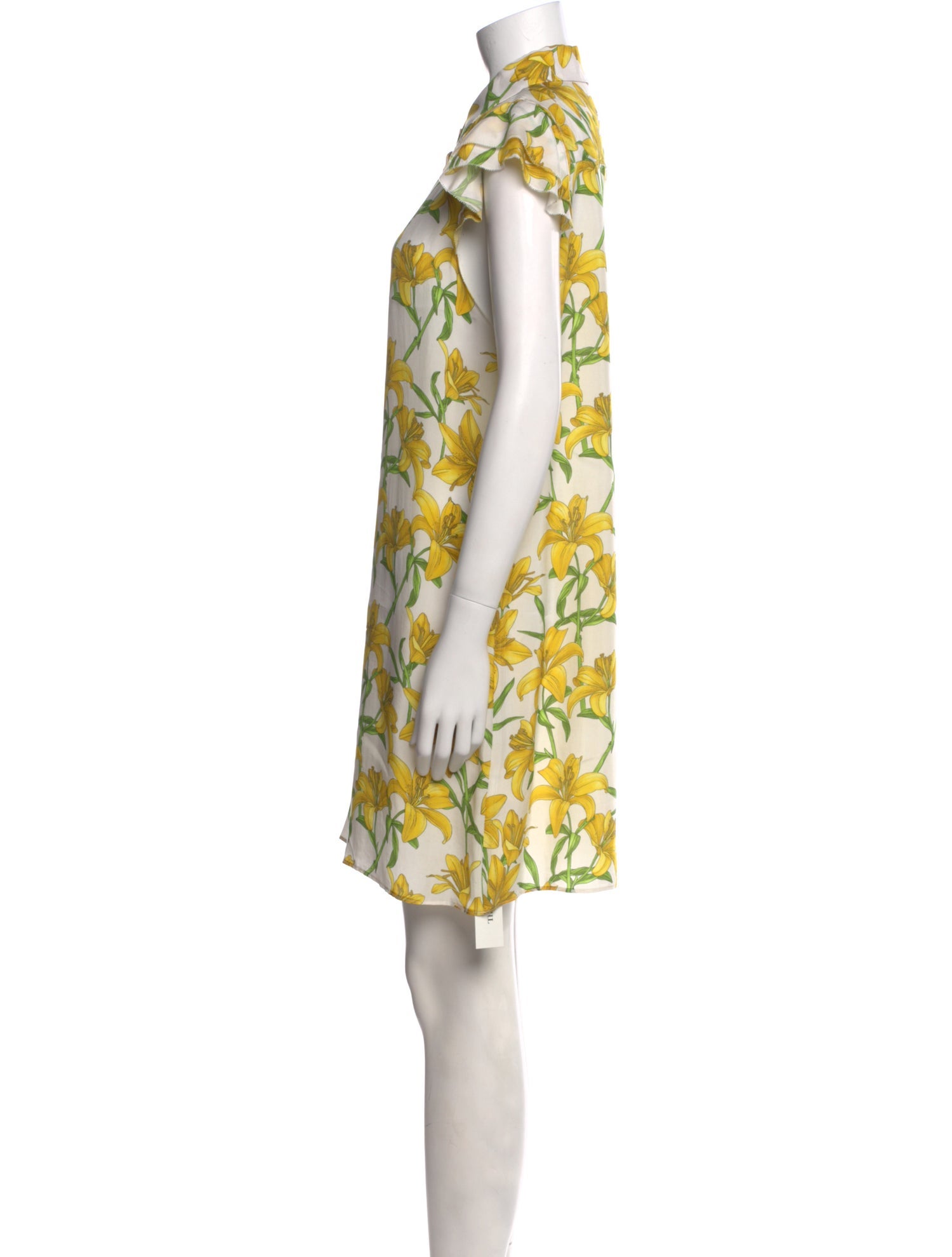 Alice + Olivia Printed Mini Dress