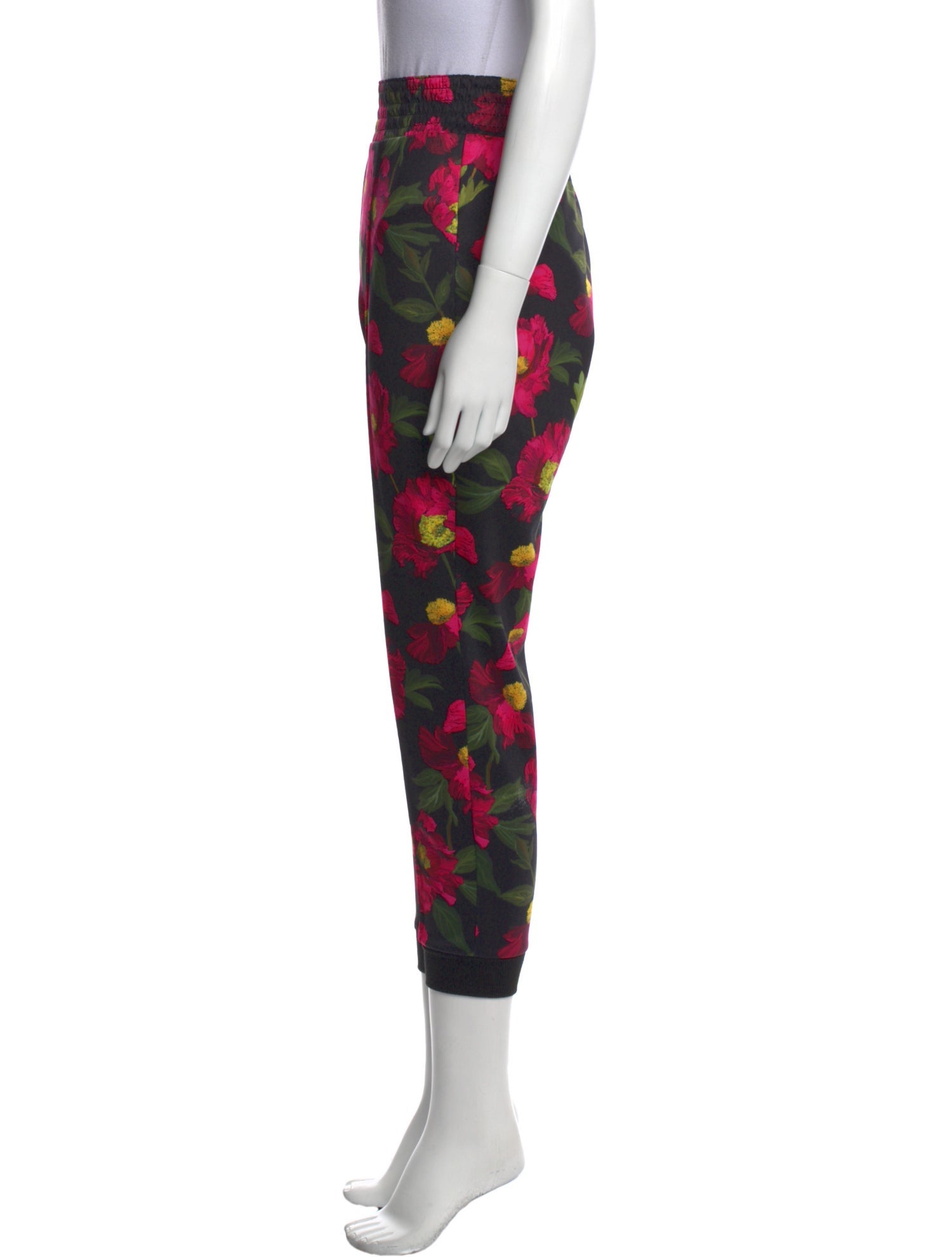 Alice + Olivia Floral Print Skinny Leg Pants