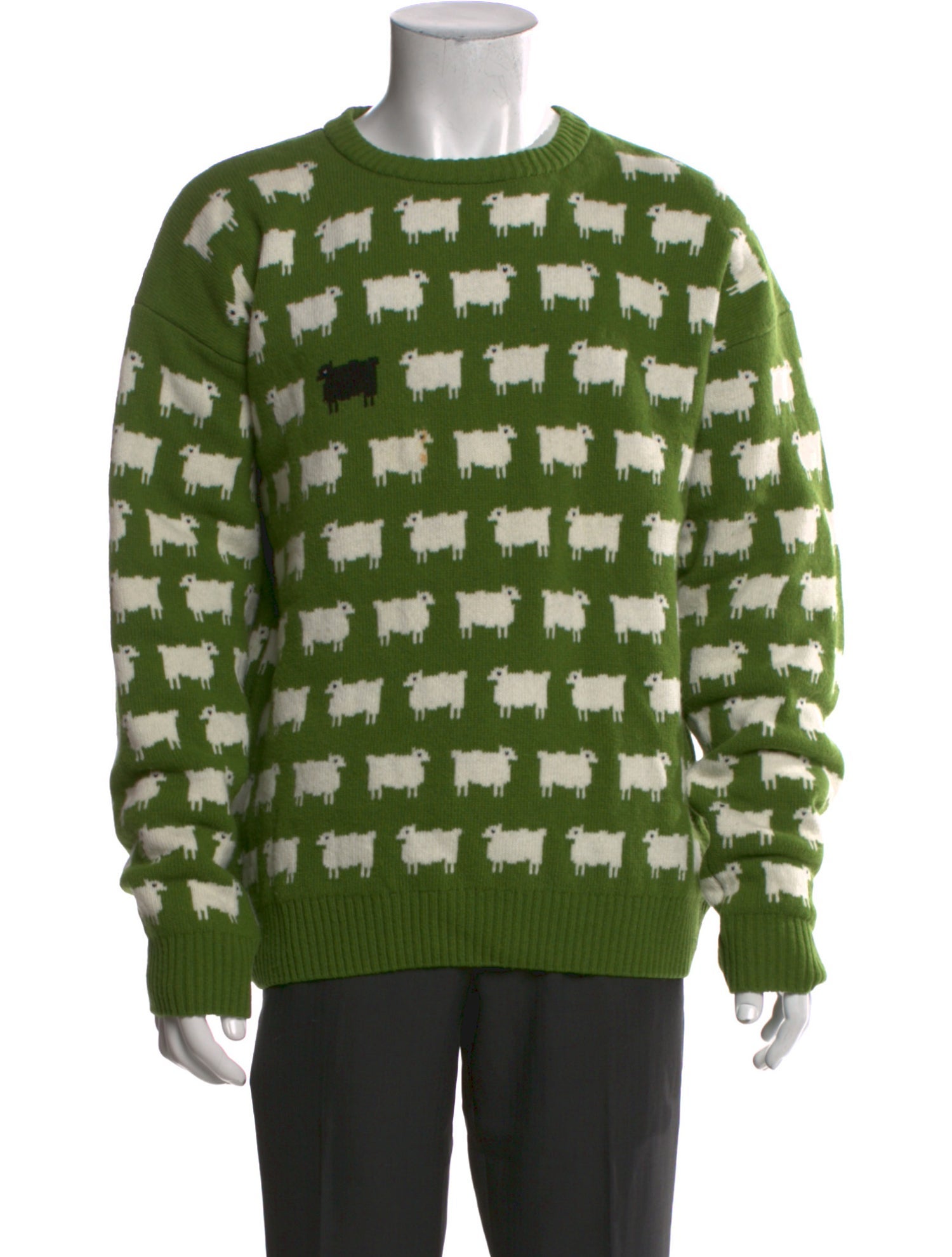 Warm & Wonderful Wool Printed Pullover