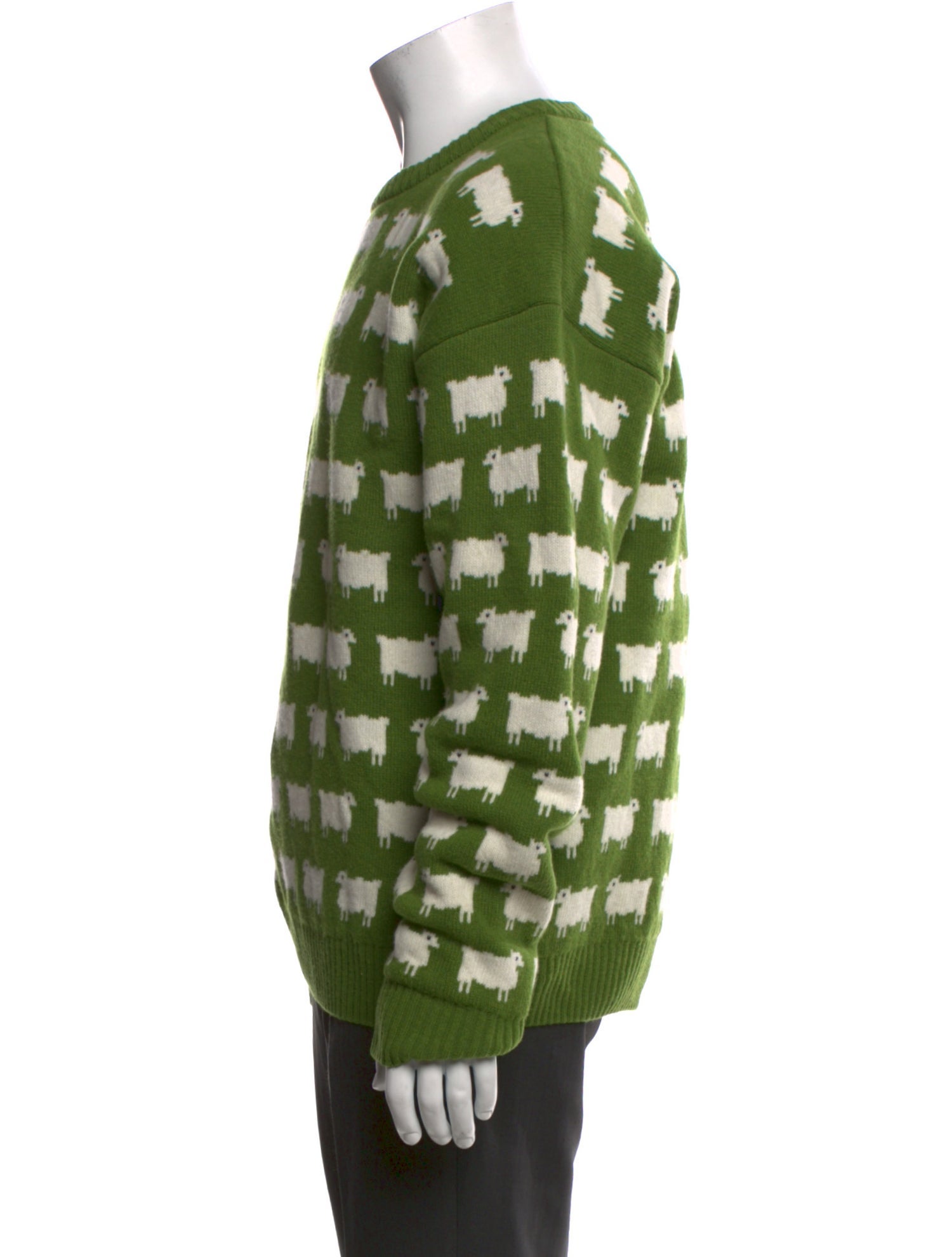 Warm & Wonderful Wool Printed Pullover