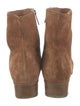 Aquatalia Suede Boots