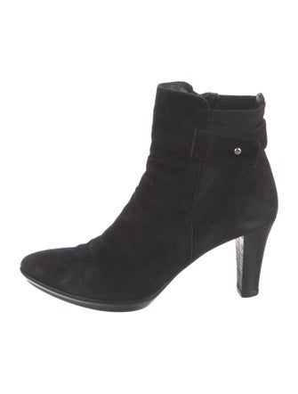 Aquatalia Suede Boots