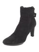 Aquatalia Suede Boots