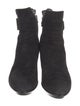 Aquatalia Suede Boots