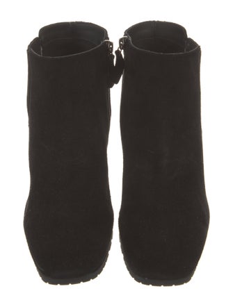 Aquatalia Suede Boots