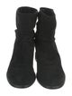 Aquatalia Suede Boots