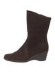 Aquatalia Suede Boots