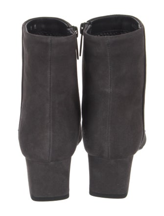Aquatalia Suede Boots