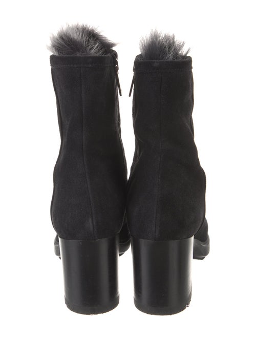 Aquatalia Suede Lace-Up Boots