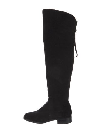 Aquatalia Suede Boots