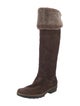 Aquatalia Suede Fur Trim Boots