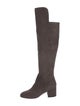 Aquatalia Suede Boots