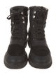 Aquatalia Suede Combat Boots