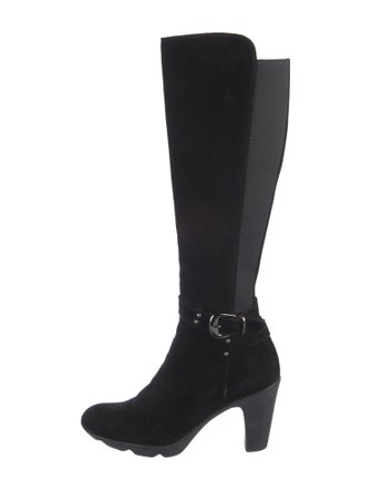 Aquatalia Suede Boots