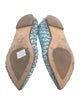 Aquatalia Lace Pattern Ballet Flats