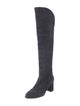 Aquatalia Suede Boots