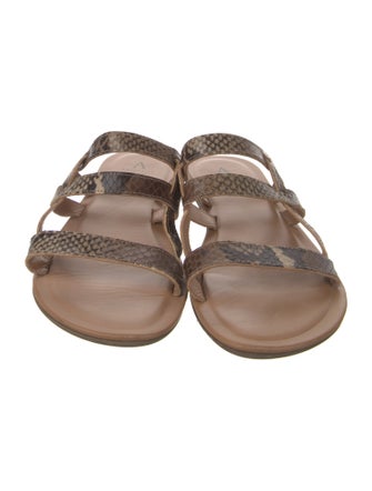 Aquatalia Leather Animal Print Slides