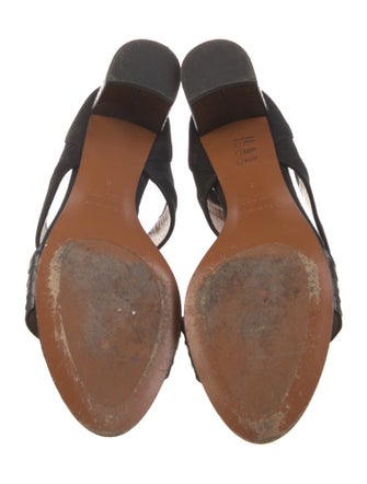 Aquatalia Suede Sandals
