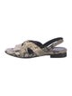 Aquatalia Snakeskin Animal Print Slingback Sandals