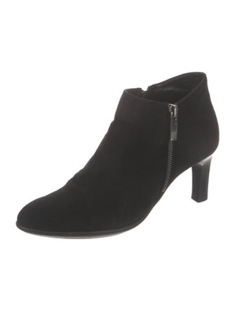 Aquatalia Suede Boots