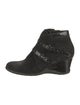 Aquatalia Suede Moto Boots