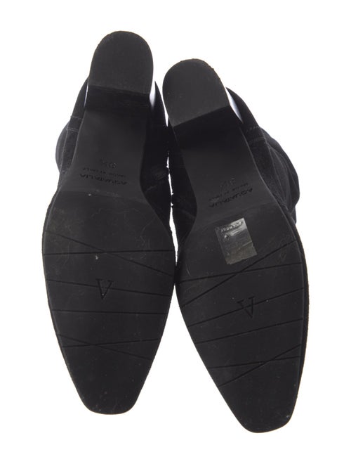 Aquatalia Suede Boots