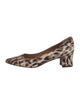 Aquatalia Ponyhair Animal Print Pumps
