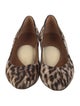 Aquatalia Ponyhair Animal Print Pumps