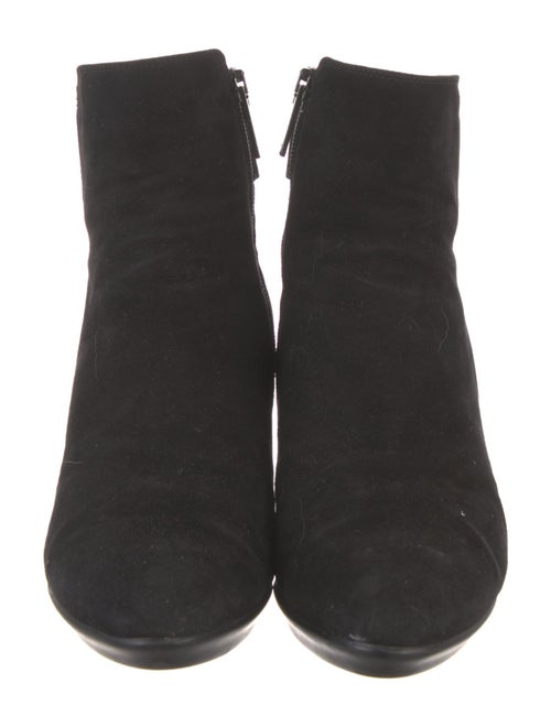 Aquatalia Suede Boots