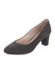 Aquatalia Suede Pumps