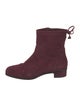 Aquatalia Suede Lace-Up Boots