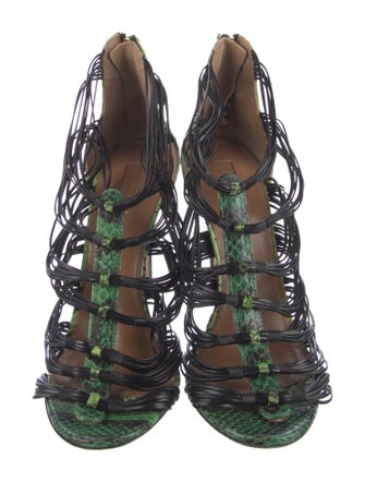 Aquatalia Snakeskin Animal Print Gladiator Sandals