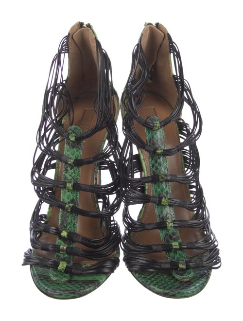 Aquatalia Snakeskin Animal Print Gladiator Sandals